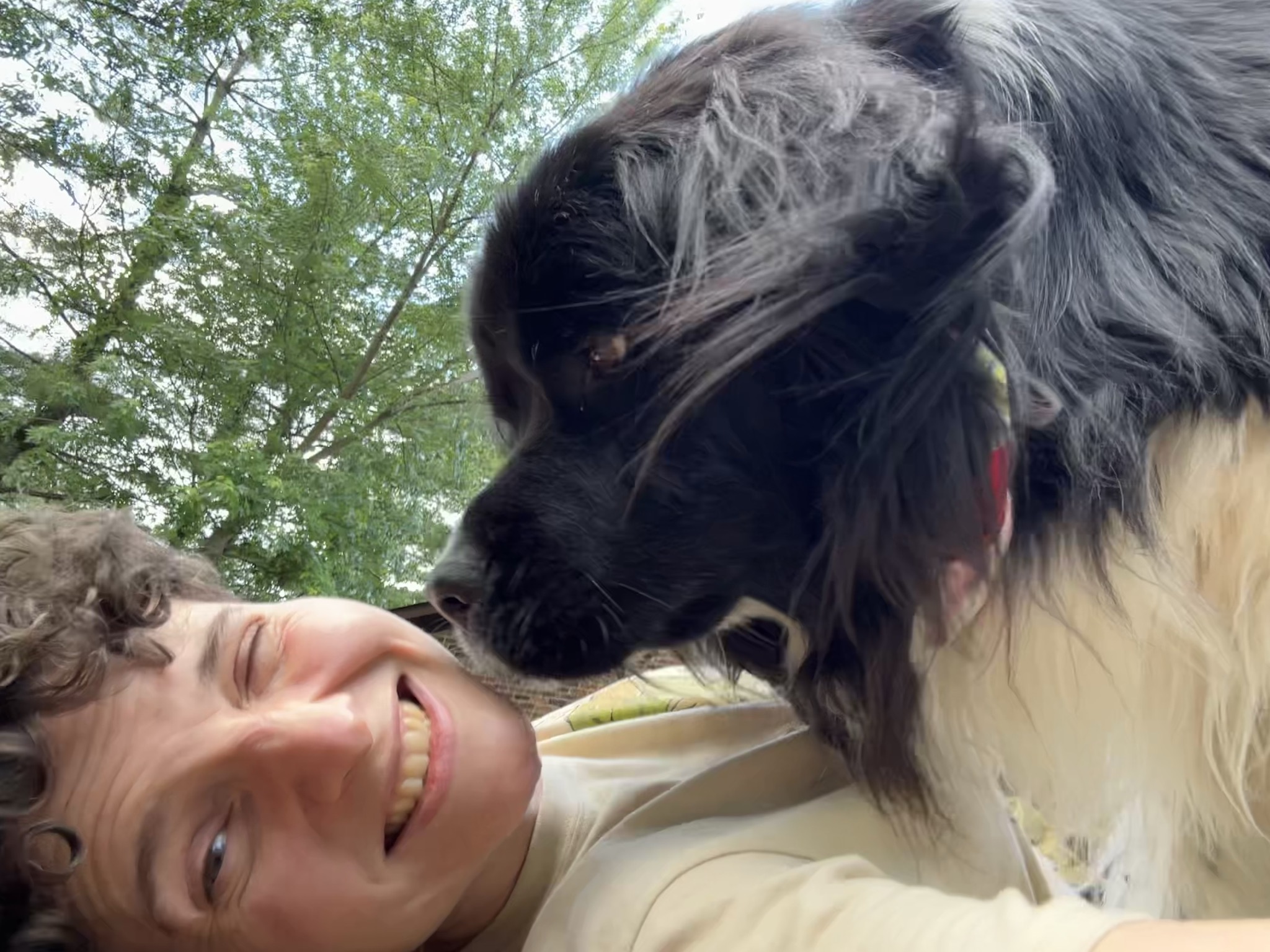 Shelter volunteer on a field trip with an adoptable dog in the woods